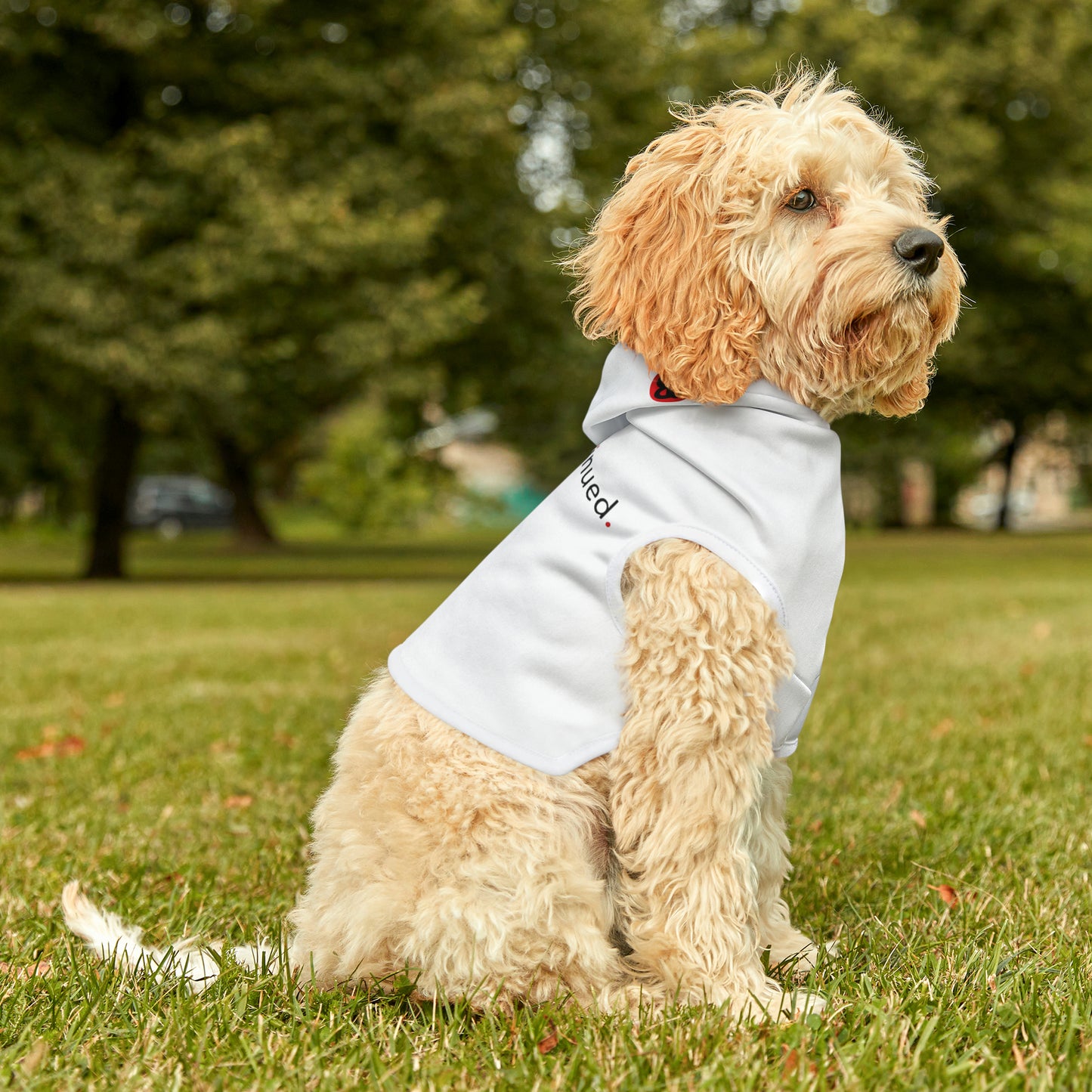 2Bdiscontinued. pet hoodie blkwht