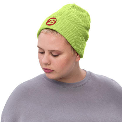 2Bdiscontinued. embroidered  ribbed knit beanie 2B