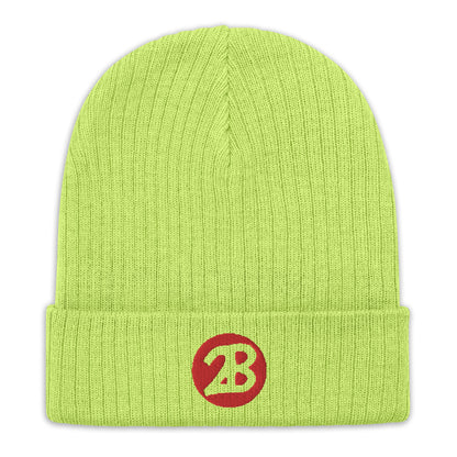 2Bdiscontinued. embroidered  ribbed knit beanie 2B