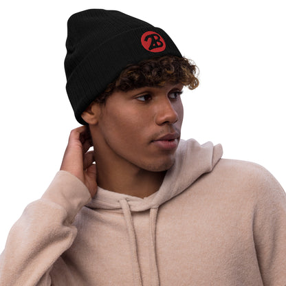 2Bdiscontinued. embroidered  ribbed knit beanie 2B