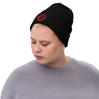 2Bdiscontinued. embroidered  ribbed knit beanie 2B