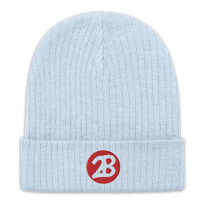 2Bdiscontinued. embroidered  ribbed knit beanie 2B