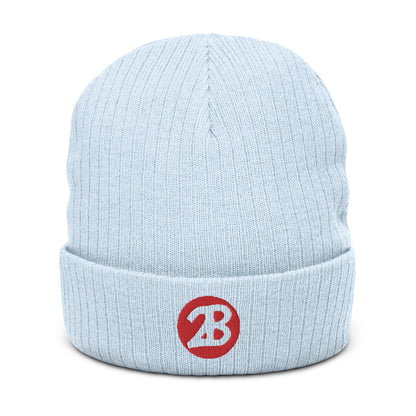 2Bdiscontinued. embroidered  ribbed knit beanie 2B