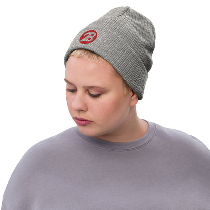 2Bdiscontinued. embroidered  ribbed knit beanie 2B