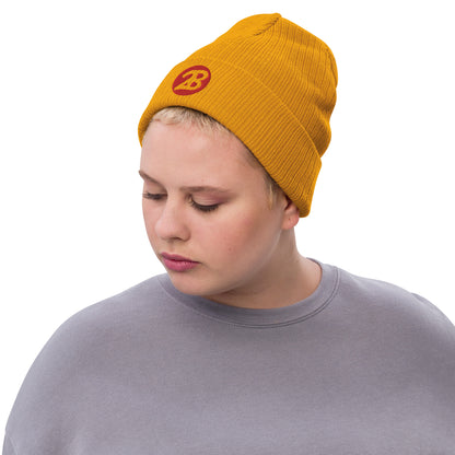 2Bdiscontinued. embroidered  ribbed knit beanie 2B