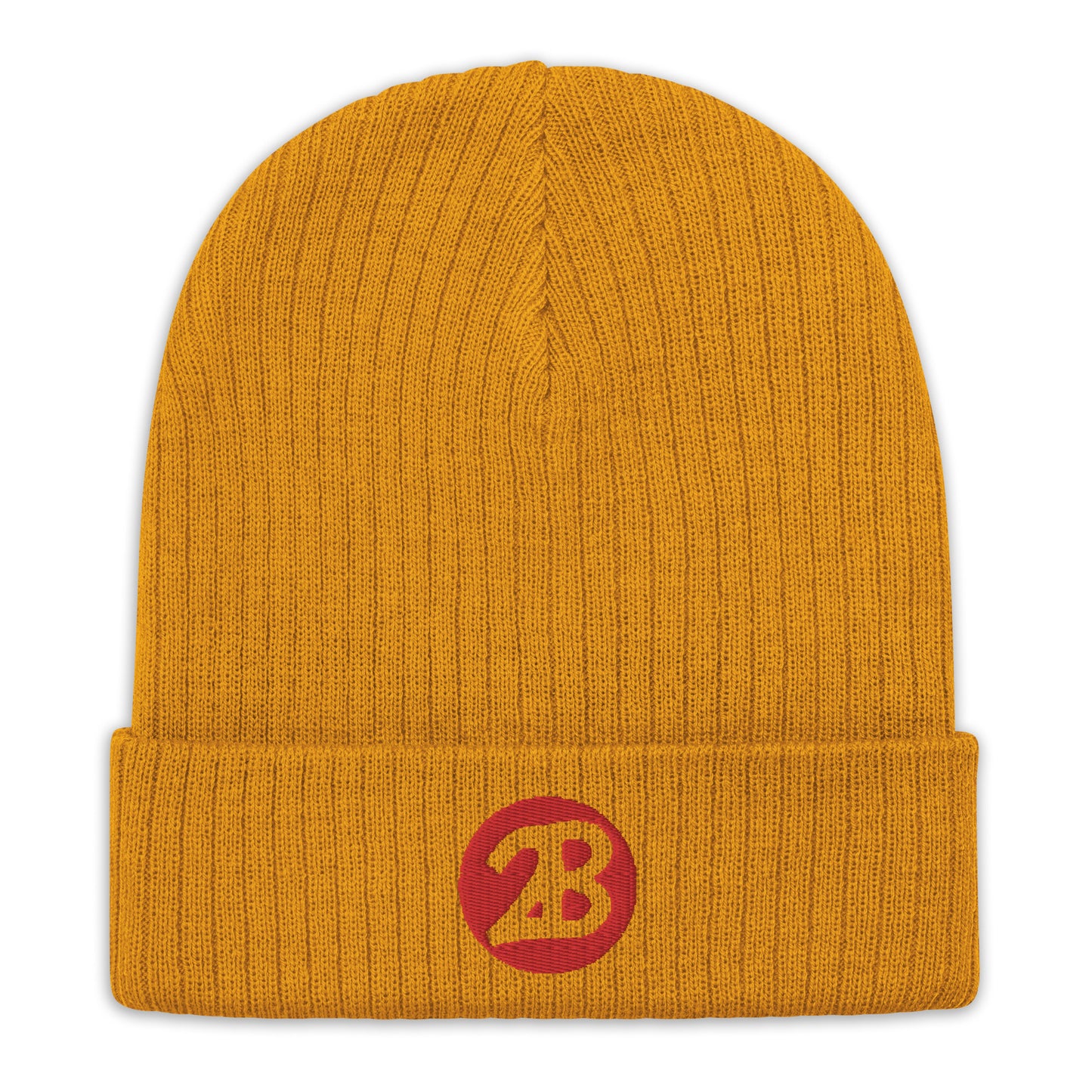 2Bdiscontinued. embroidered  ribbed knit beanie 2B