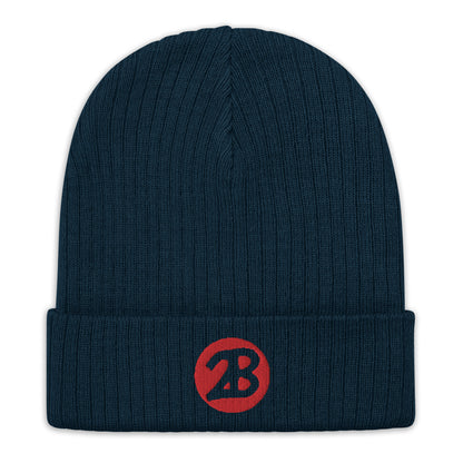 2Bdiscontinued. embroidered  ribbed knit beanie 2B