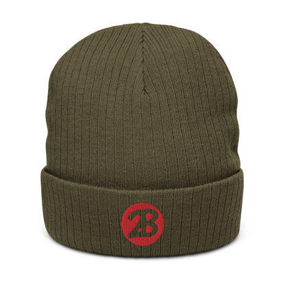 2Bdiscontinued. embroidered  ribbed knit beanie 2B