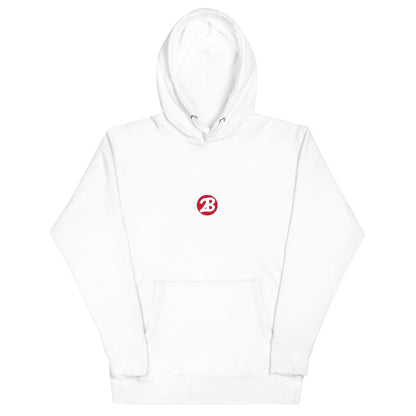 2Bdiscontinued. unisex hoodie